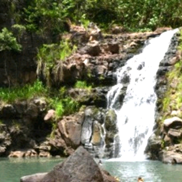 Meet your Posher, Zaddy - Picture 12 of 16